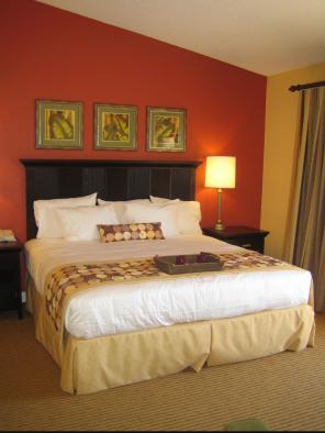 comforter duvet king size