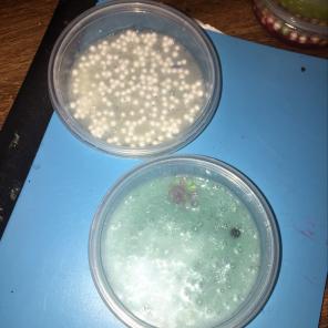 Lost Treasure Slime
