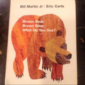 Brown bear brown bear what do you see?