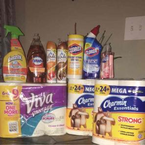 Viva & Charmin bundle