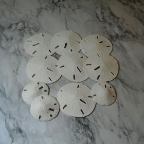 11 artifical sanddollars