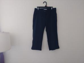 Dark Blue Striped Picnic Pants