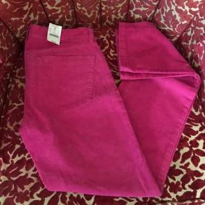 BNWT j. Crew denim