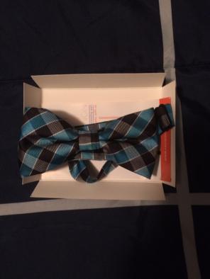 New Blue Green Striped Bowtie