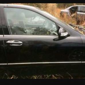Door shell for 2000 Mercedes S430