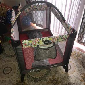 Graco Pack 'N' Play