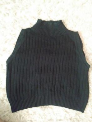 Short sleeve turtle neck cropped sweater