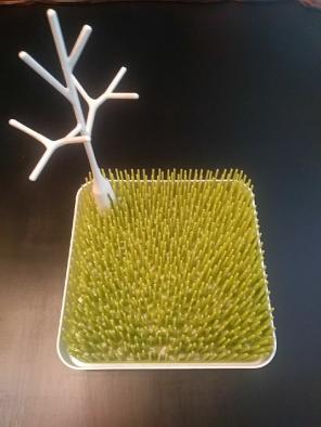 Boon drying grass