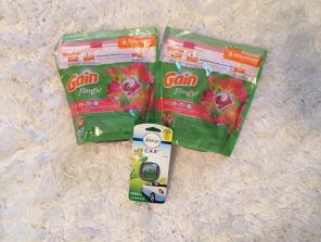 Gain 20ct Pods Bundle With Gain Freshner