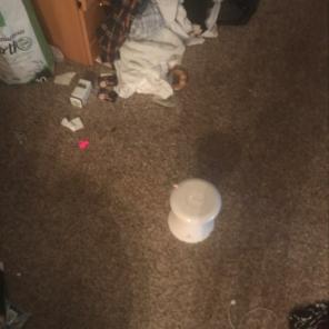Cat Laser Toy