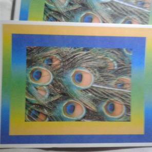 WWB-141/Note Cards/Peacock Quills