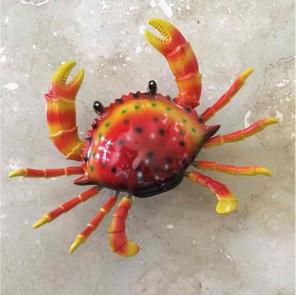 Crab Magnet