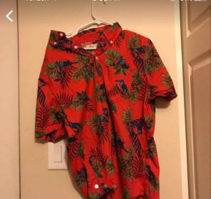 Hollister Hawaiian Tee