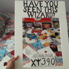 Harry Potter decor
