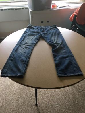Silver Brand "Nash" Painter Jeans