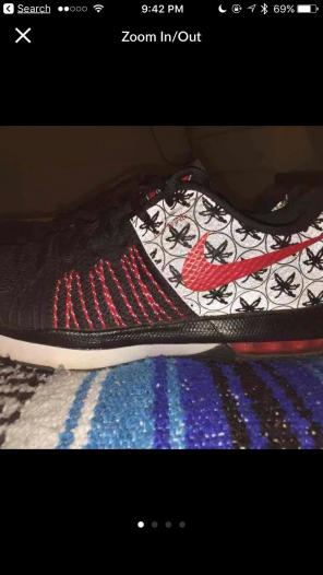Nike Ohio State OSU Shoes