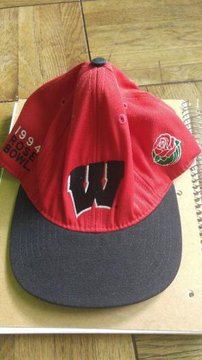 Wisconsin Snapback Hats