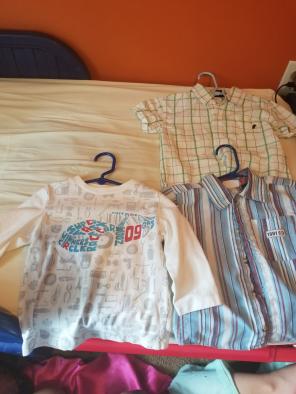 Boy's long and short sleeve shirts