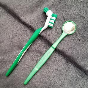 $2SHIP Braces cleaning brush and mirror