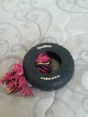 Dog toy