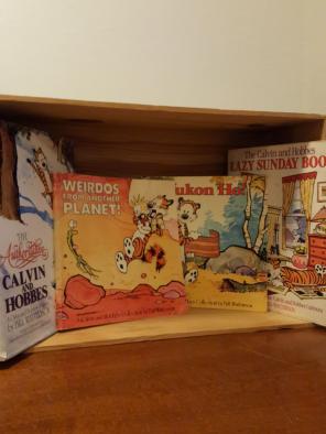 Calvin and Hobbes collection