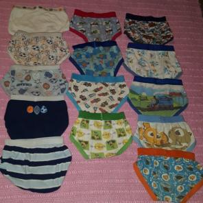14 pairs boys underwear 2t 3t 4t