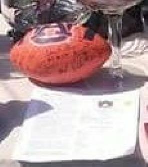 Auburn Football