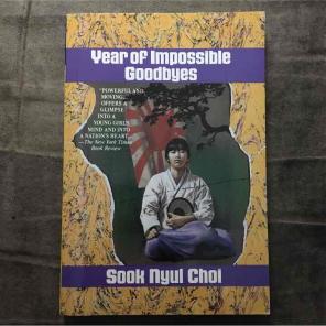 Year of Impossible Goodbyes