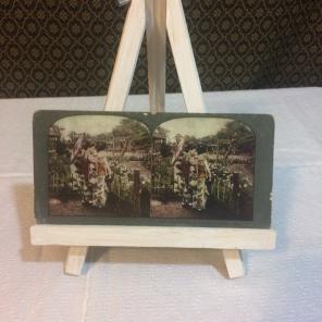 Antique Stereocard