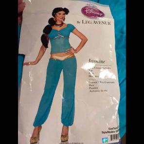 Princess Jasmine costume