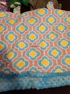 Infant carseat canopy