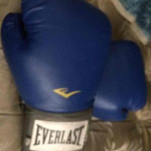 Everlast boxing gloves