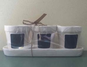 Rae Dunn Set/3 Chalk Chalkboard Planters
