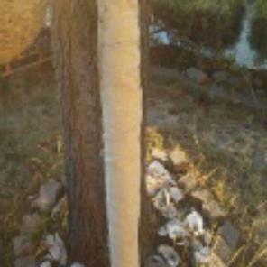 Vintage cream colored fabric bolt
