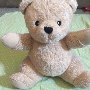Heartbeat Womb Bear