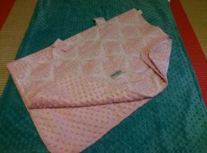 Carseat Canopy