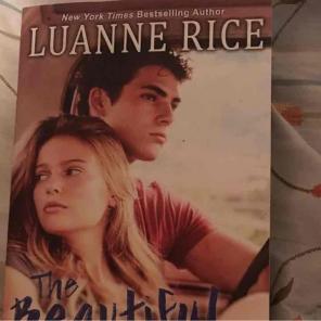 The beautiful lost by Luanne rice