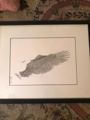 Eagle Drawing