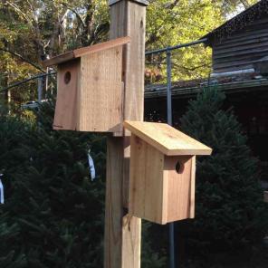 Cedar Bluebird House