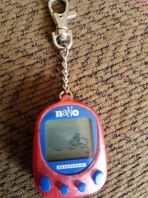 Virtual pet Nano pet- Bunnie