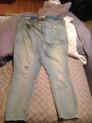 Torrid Jeans
