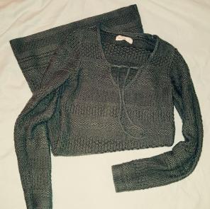 HollisterCo Sweater Dreas