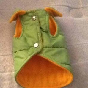Dog vest