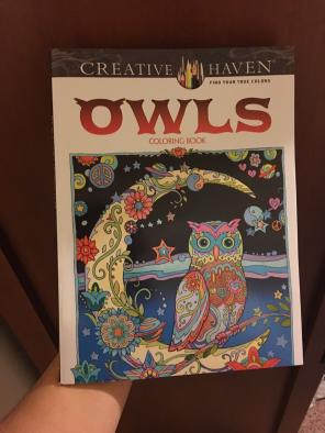 Owl Coloring Book