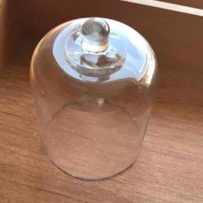 Small bell jar, enchanted rose style