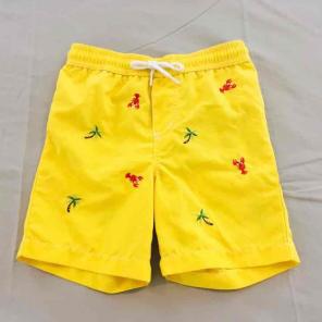 Swimming Shorts