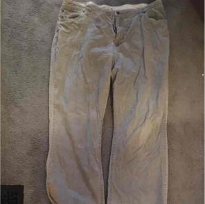 American Eagle Corduroy Gray Pant 40x32