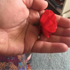(50) tiny red roses