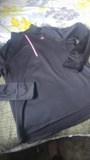 Champion sweater