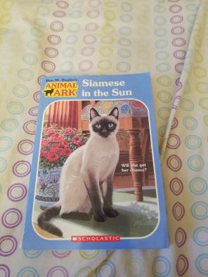 Siamese in the Sun